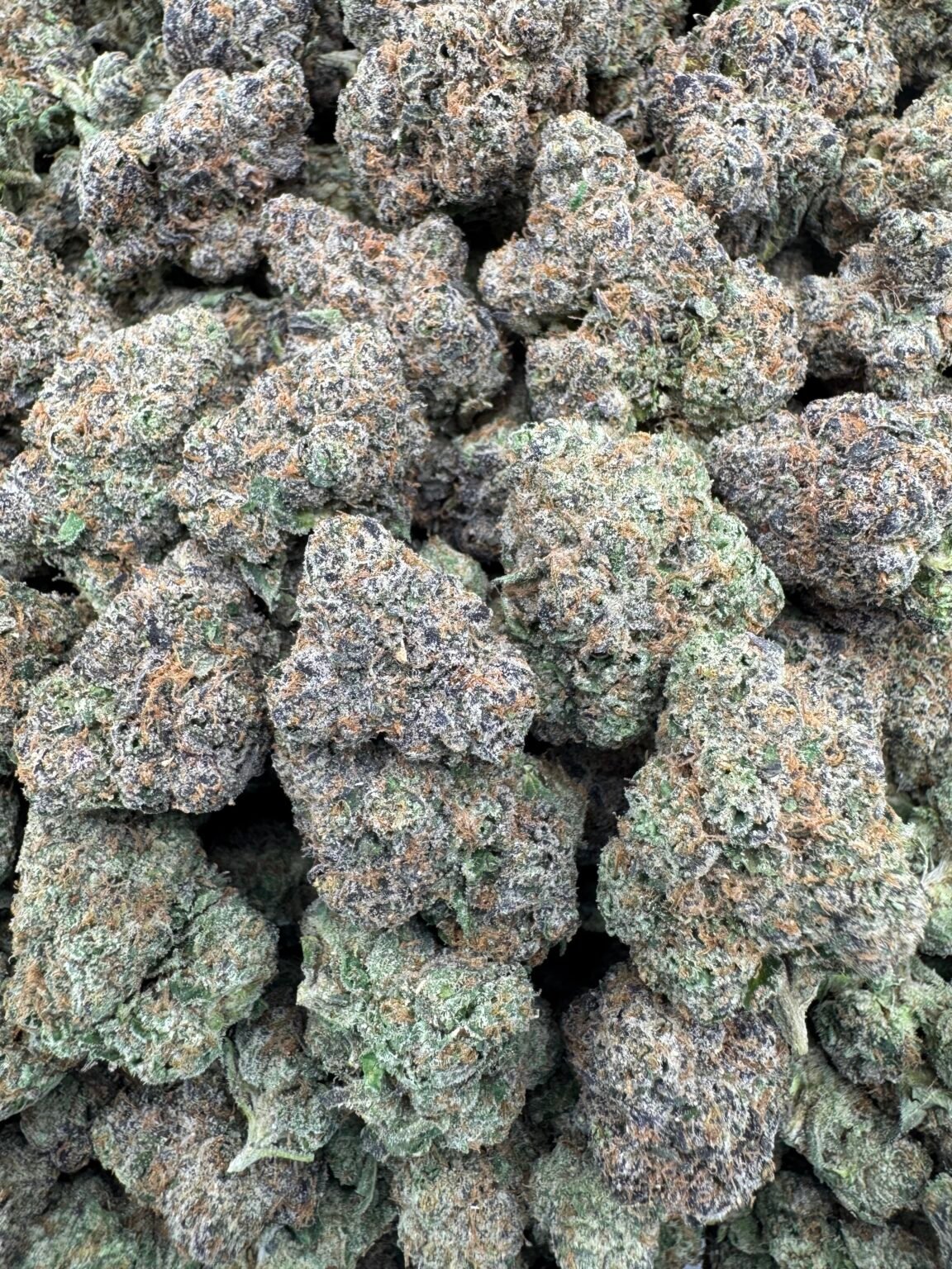 WHITE RUNTZ (1011) $800