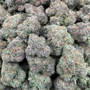 WHITE RUNTZ (1011) $800