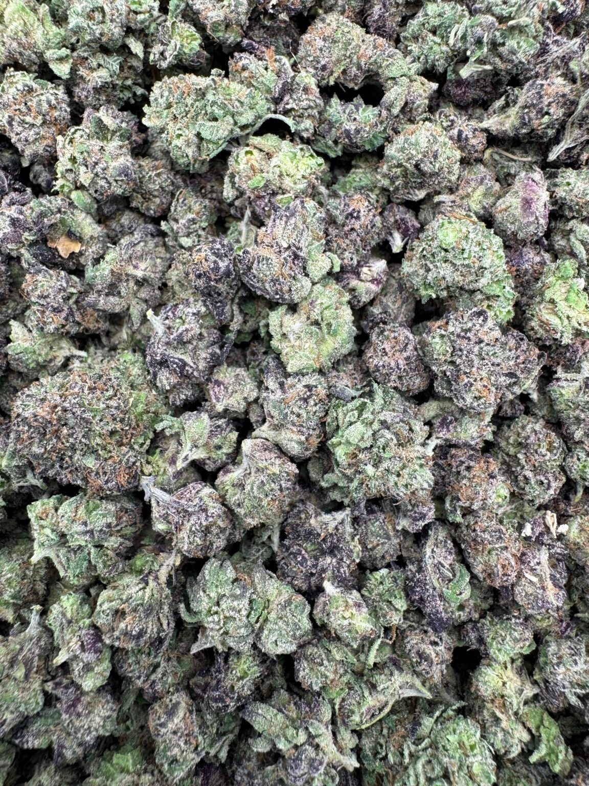 CANDY RUNTZ (smalls) (1125) $600