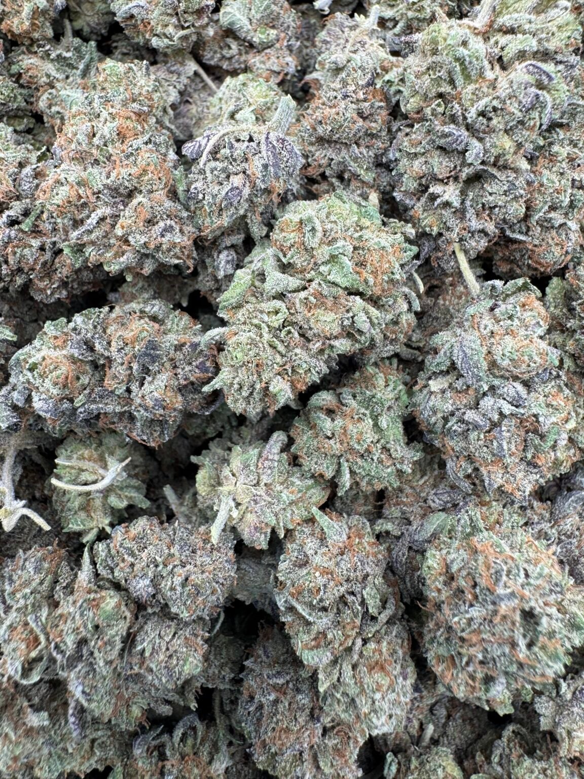 PLATINUM KUSH (1093) $600