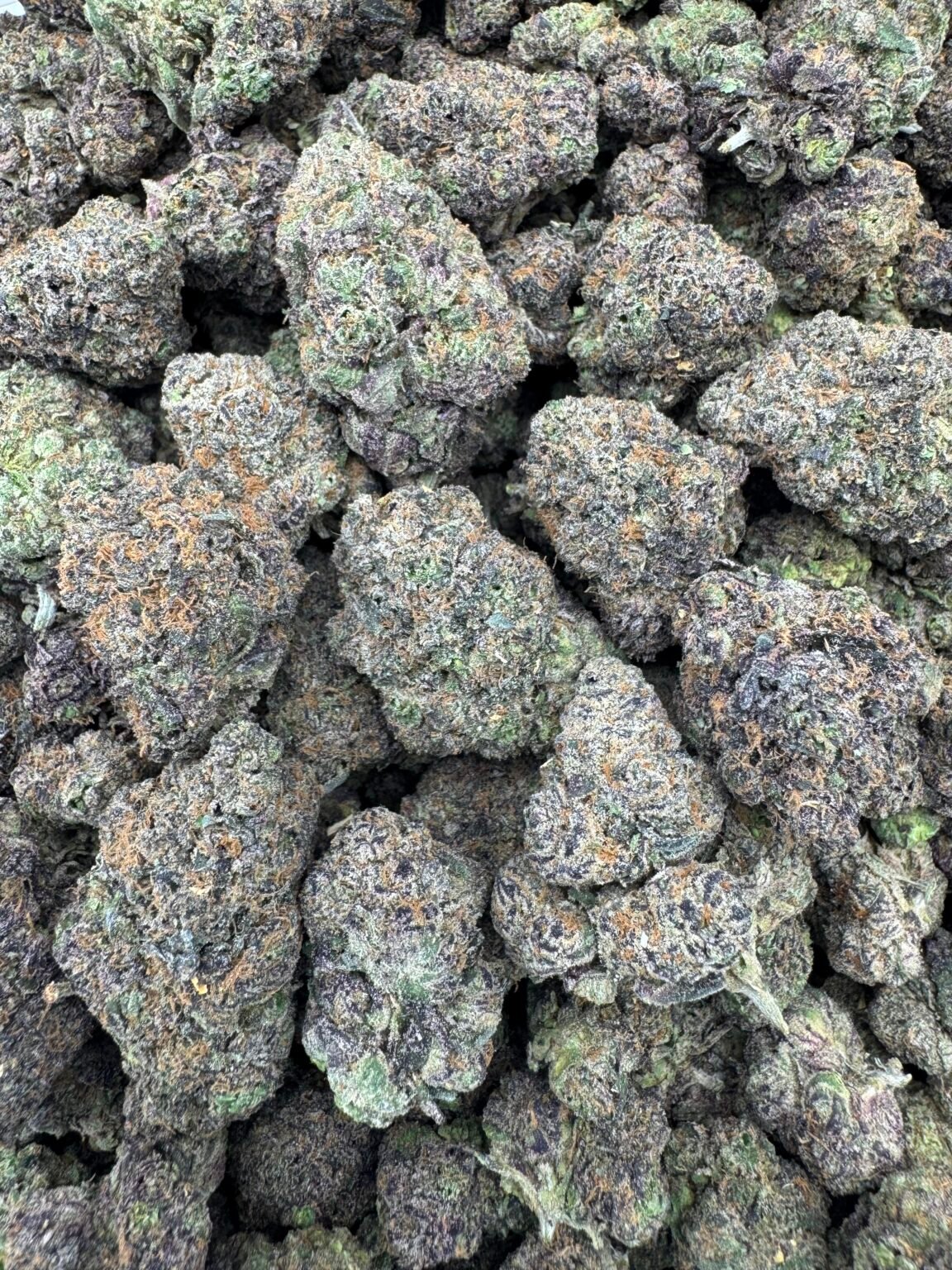 CANDY GAS (1132) $800