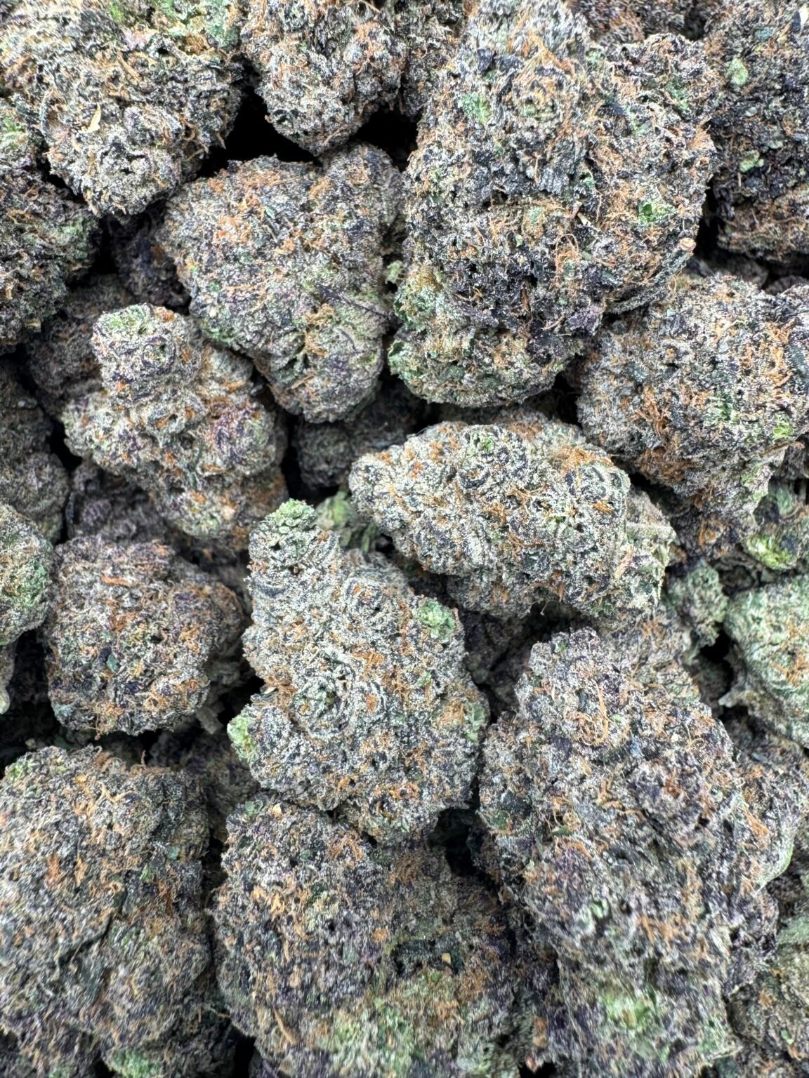 KANDY GAS (1132) $800