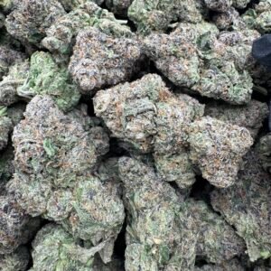 GUMBO RUNTZ (1206) $800