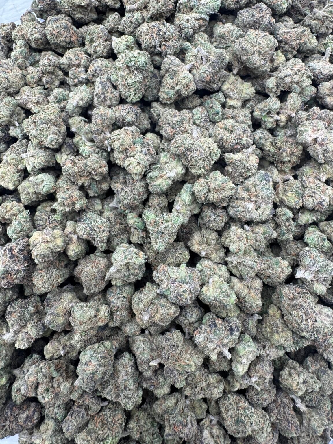 CANDY SMALLS (1303) $450