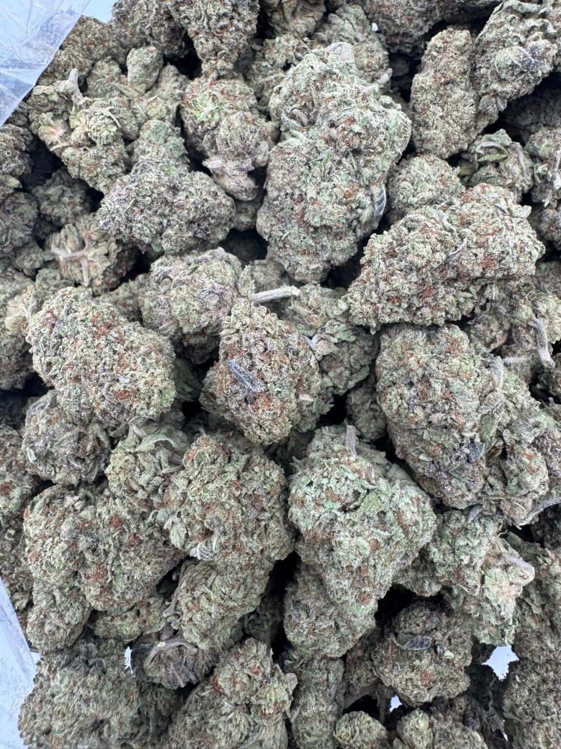 ITALIAN ICE(1294) $575