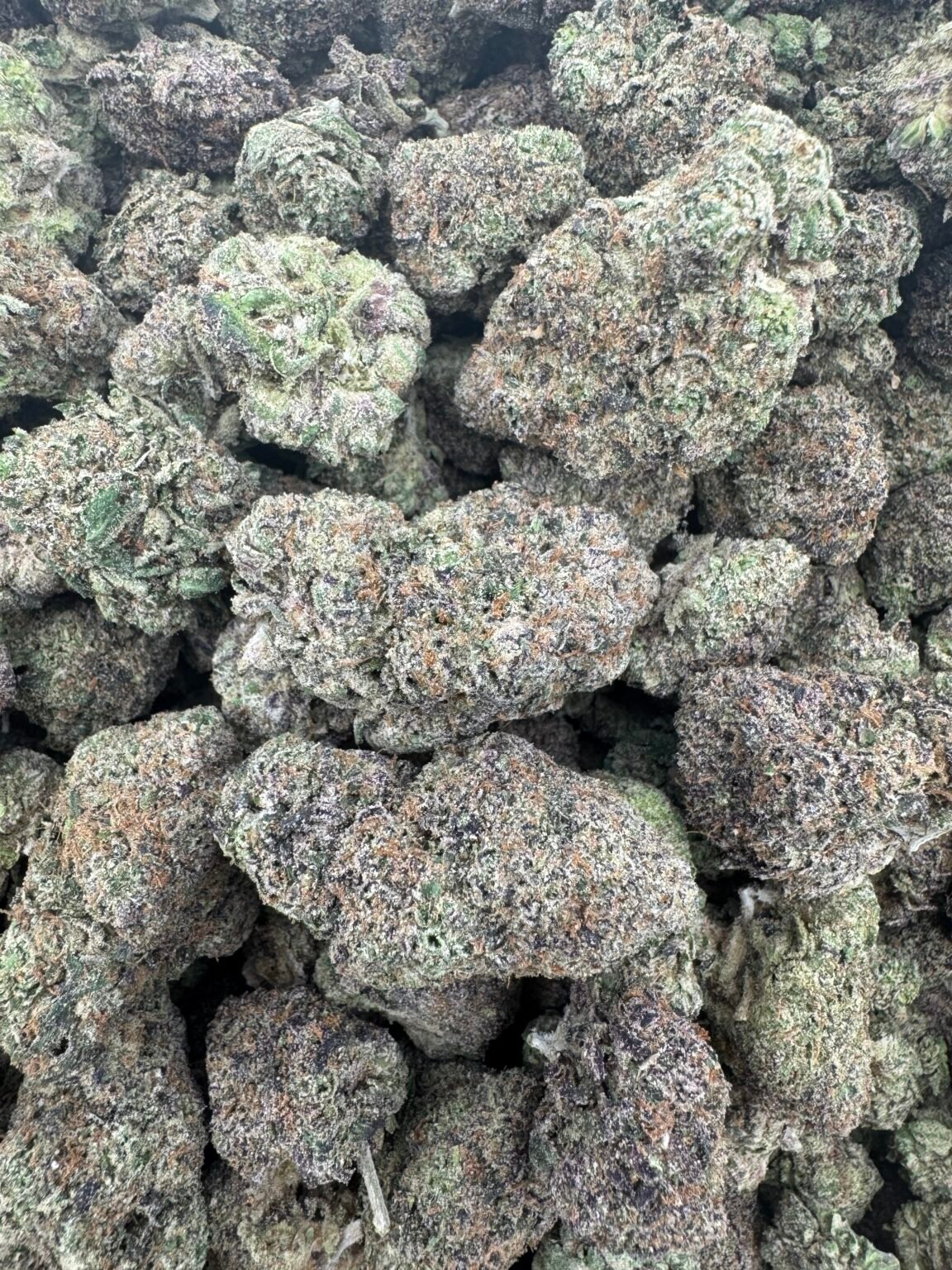 LIME GELATO(1384) $750