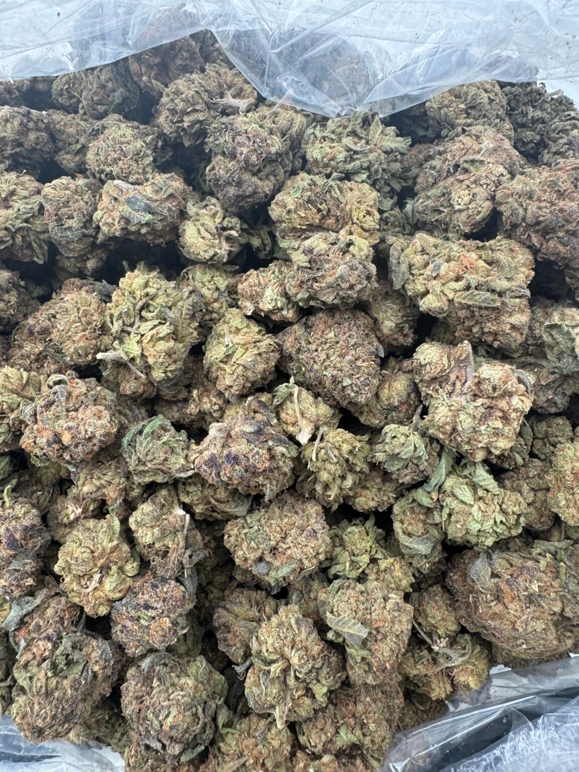 MOCHI GAS(1422) $350