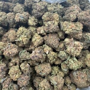 MOCHI GAS(1422) $350