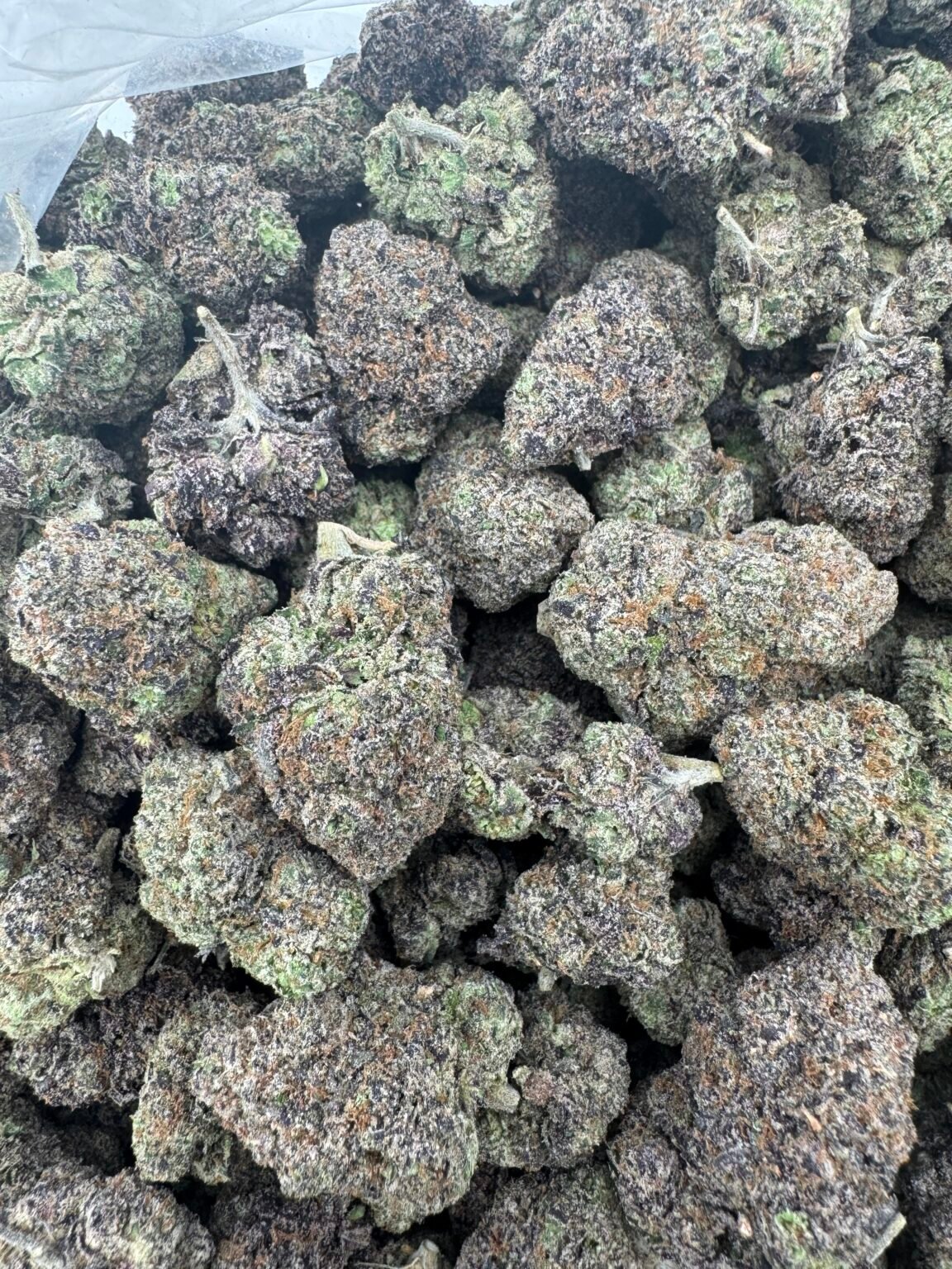 LIME GUMMI(1328) $850