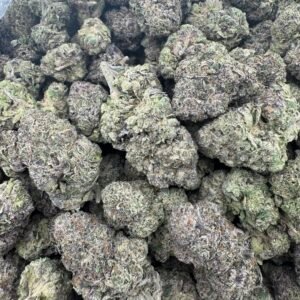 MOCHI RUNTZ(1386) $800