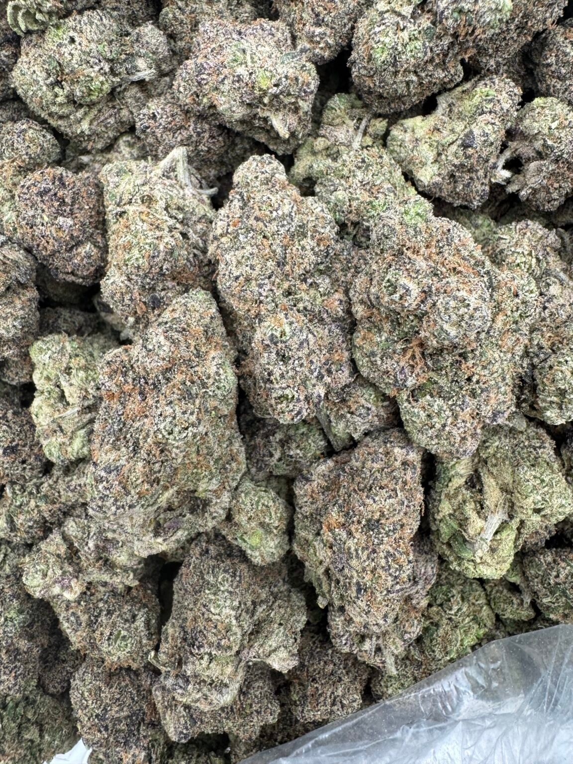 CANDY HEART(1396) $750