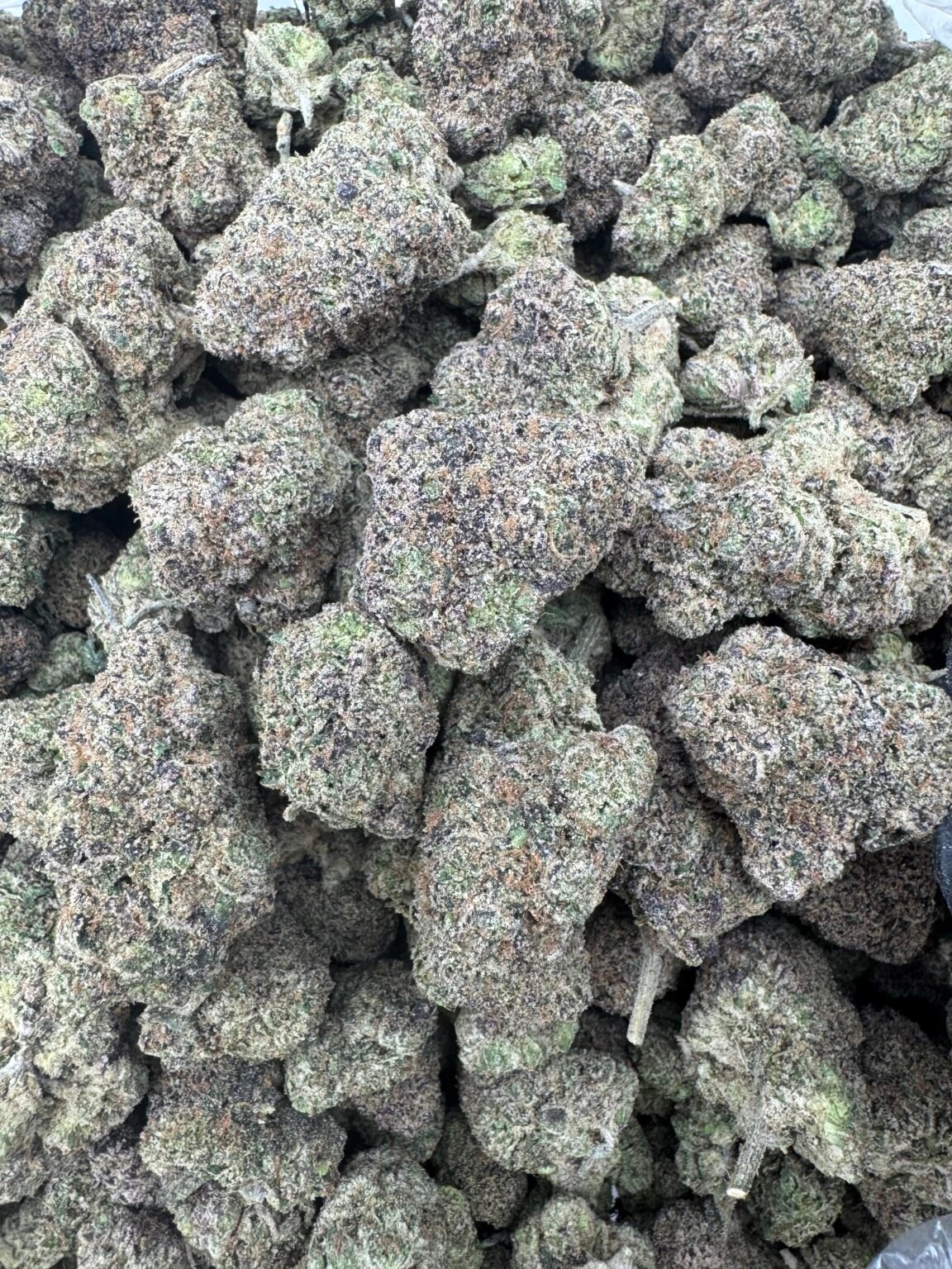 CANDY GAS(1397) $750