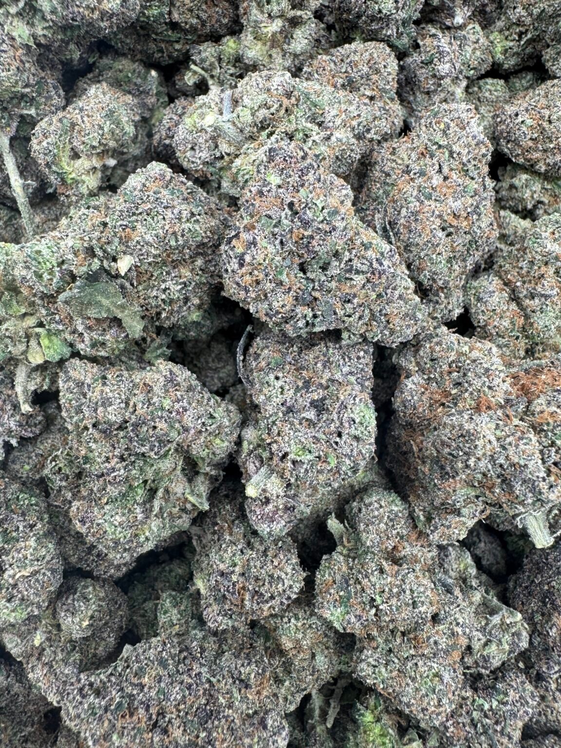 RAINBOW RUNTZ(1440) $800