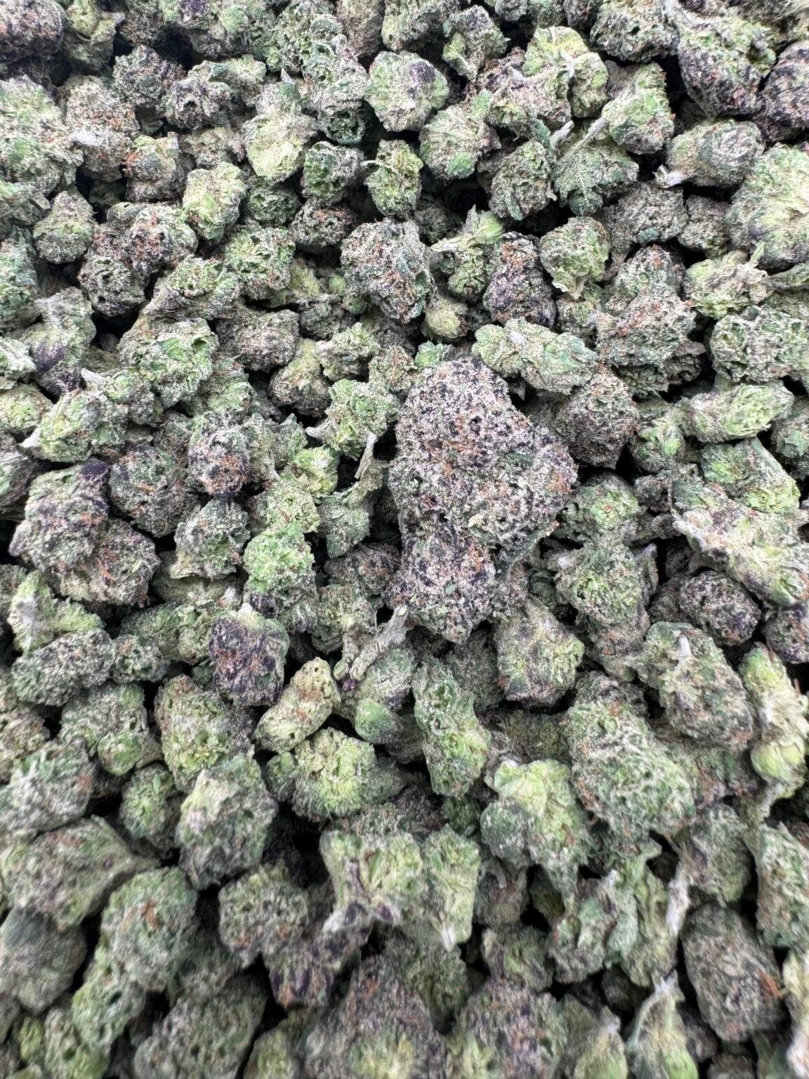 CANDY SMALLS(1533) $600