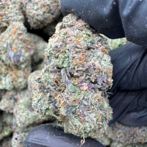 PINK RUNTZ(1661) $875