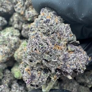 BLUE CHERRY(1672) $900