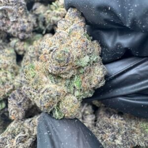 PINK RUNTZ(1696) $850