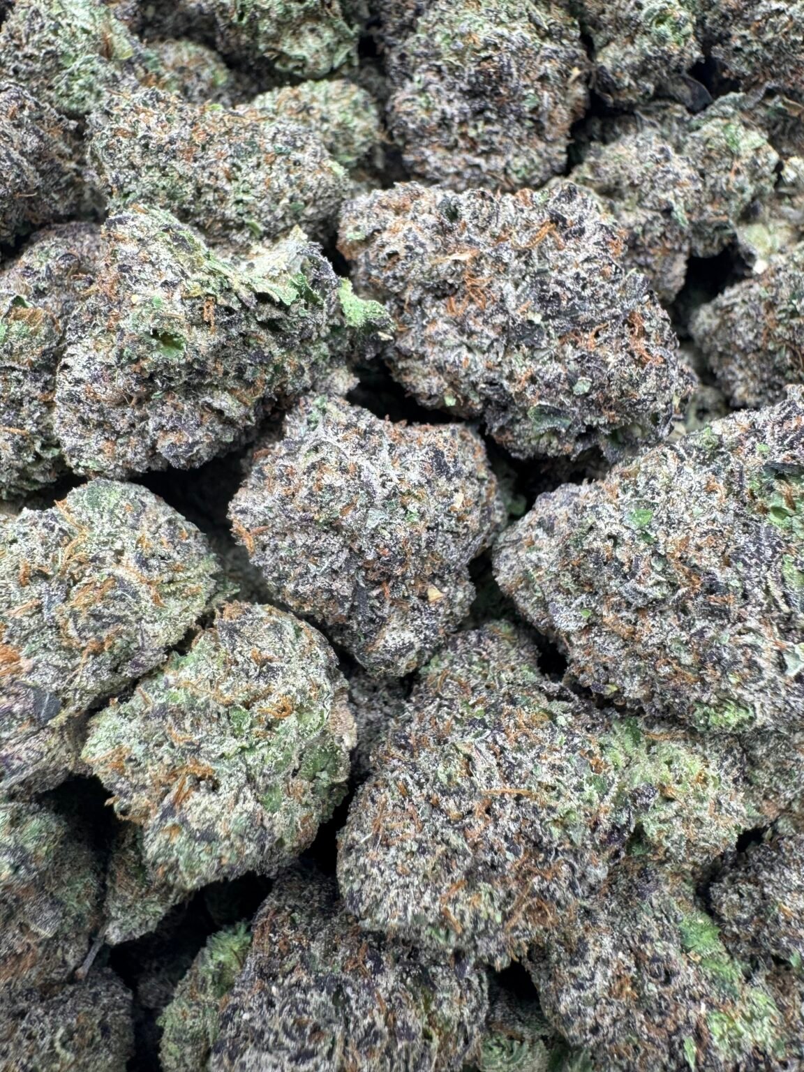 BLUEBERRY NERDS(1694) $875