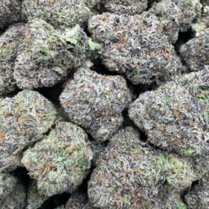 BLUEBERRY NERDS(1694) $875