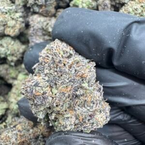 POISON CHERRY(1710) $850