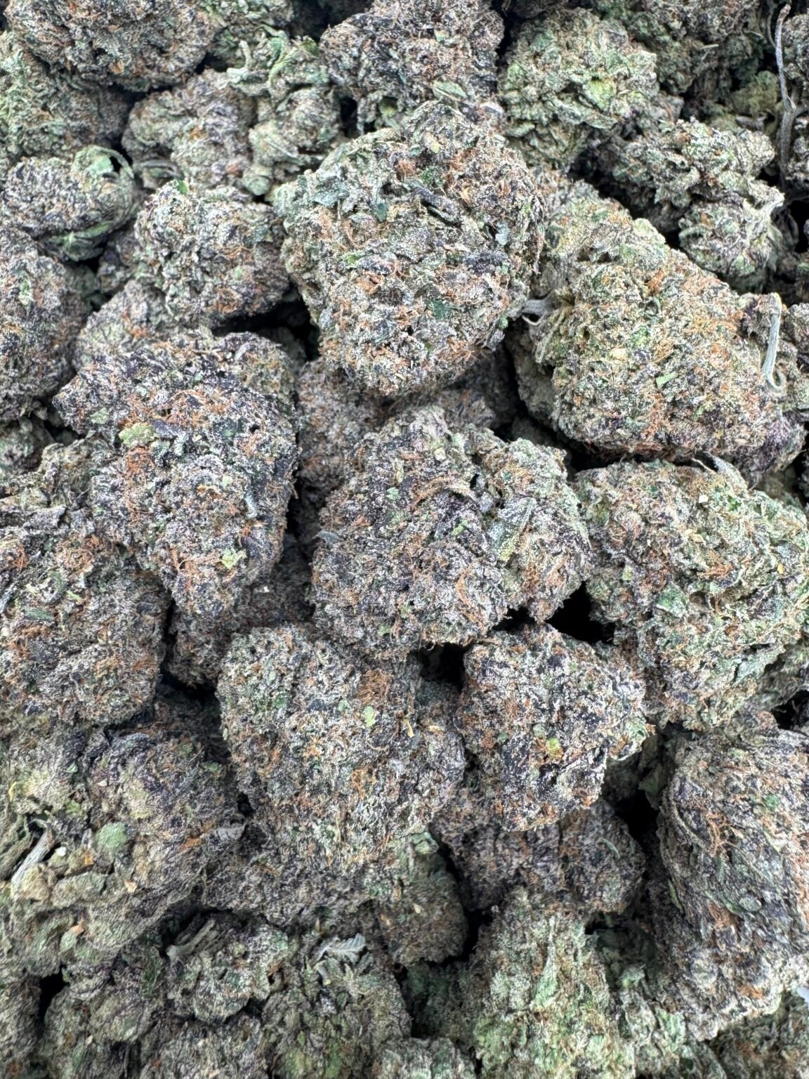 CHERRY TART(1709) $850