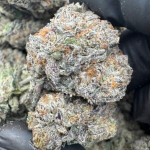 THIN MINT GELATO(1707) $800