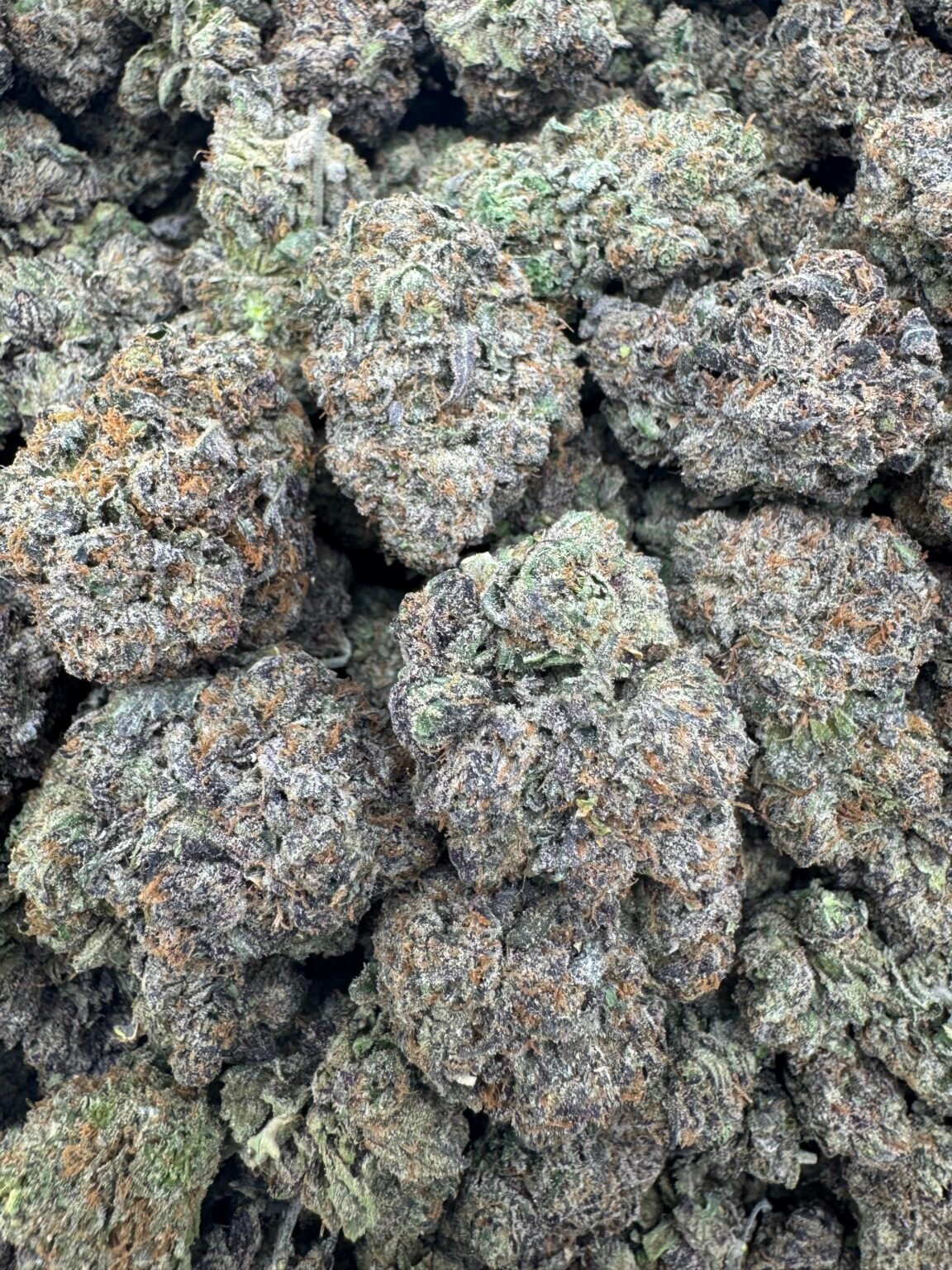 MOCHI CANDY(1708) $850