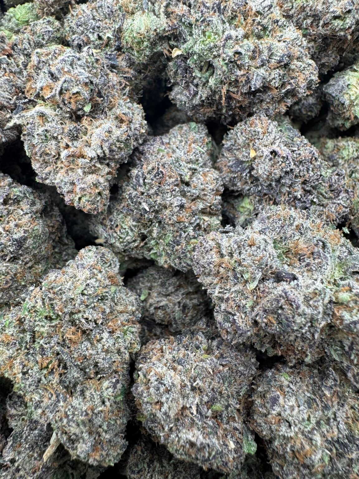 CHERRY ZOOSHI(1721) $900