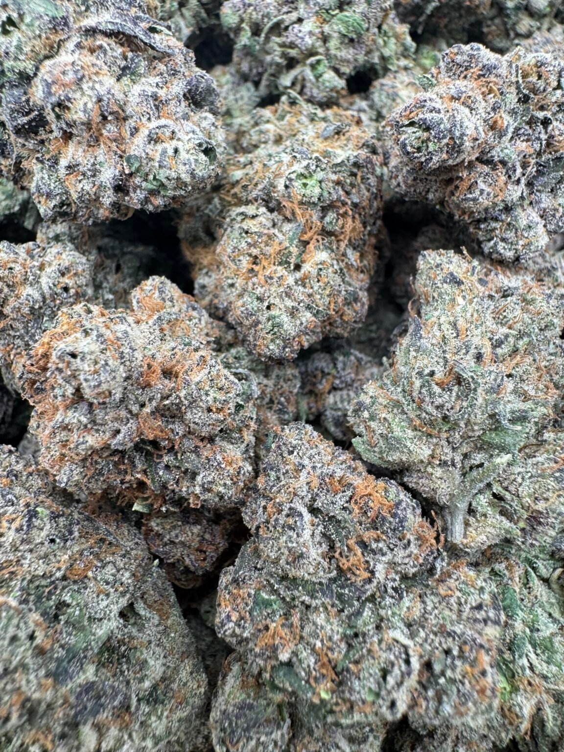 CHERRY RUNTZ(1725) $850