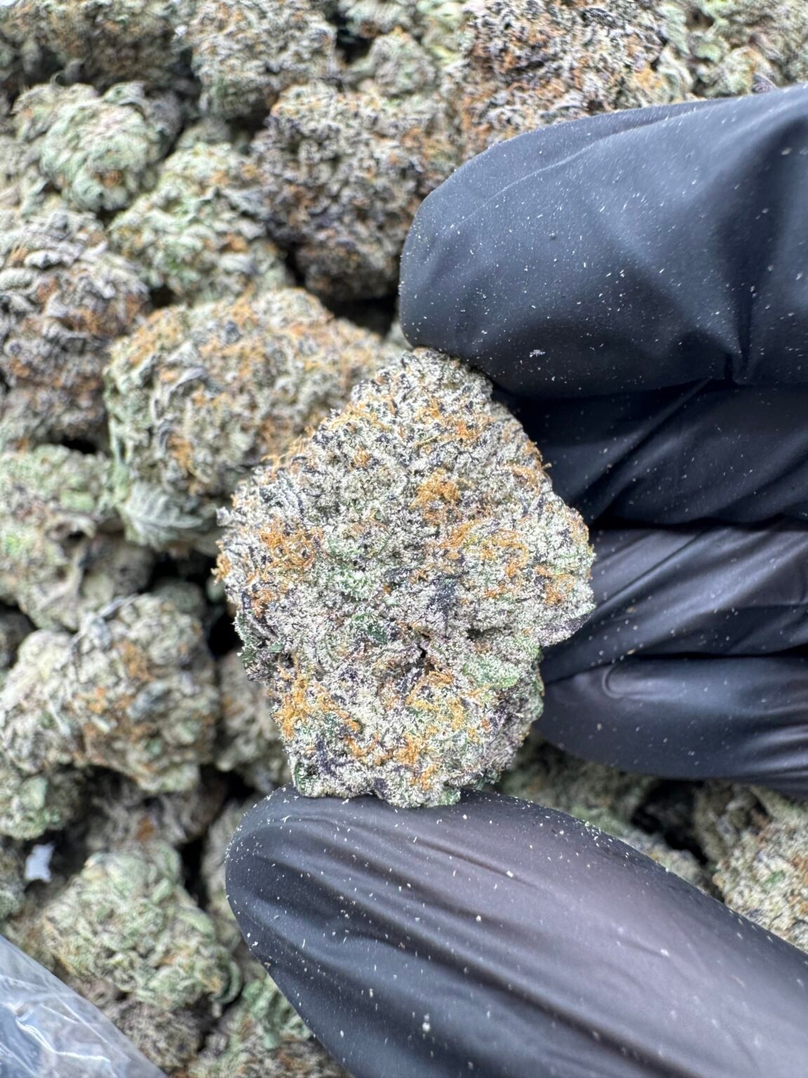 WEDDING CAKE(1741) $800