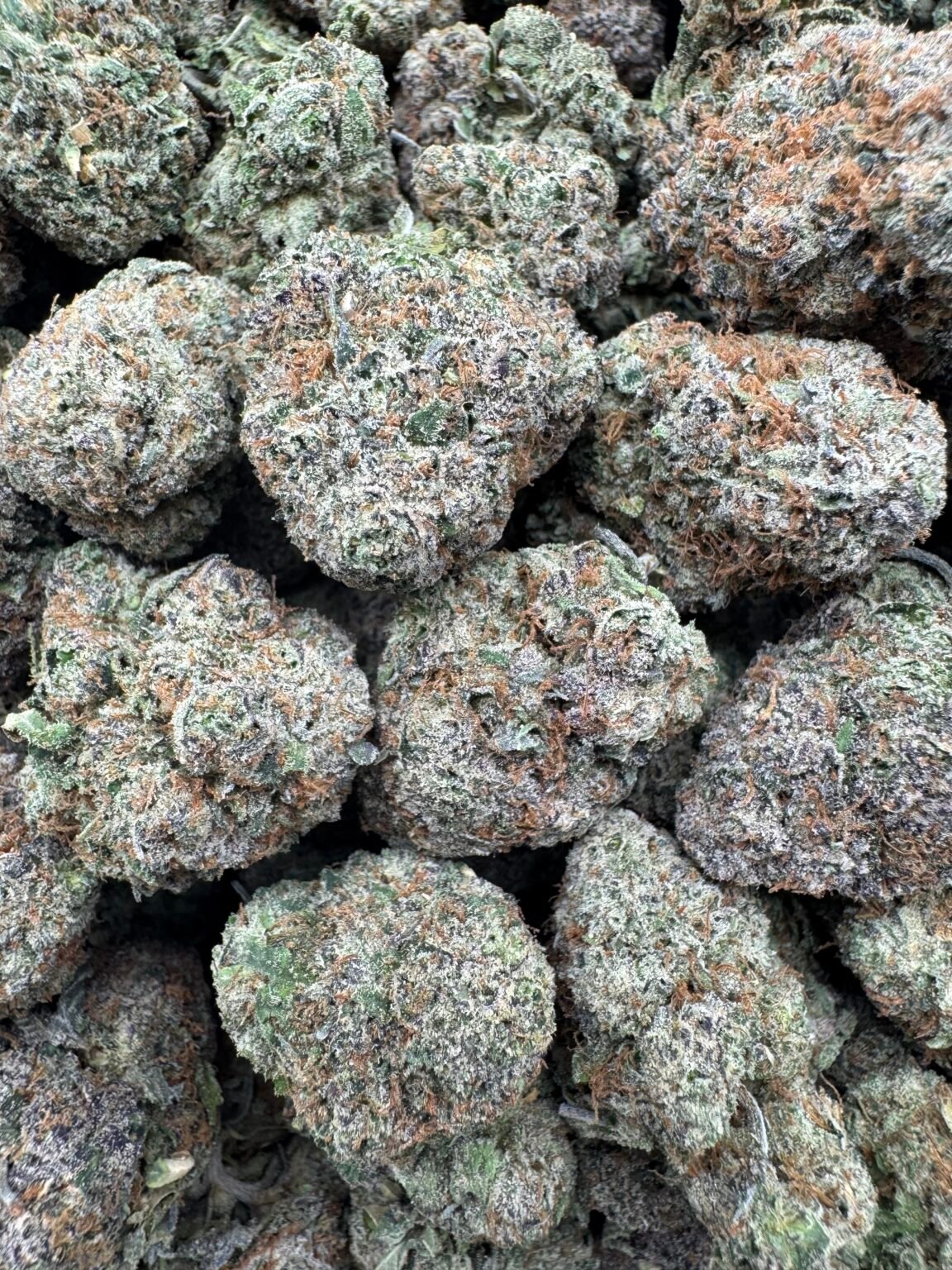 LEMON KUSH(1733) $850