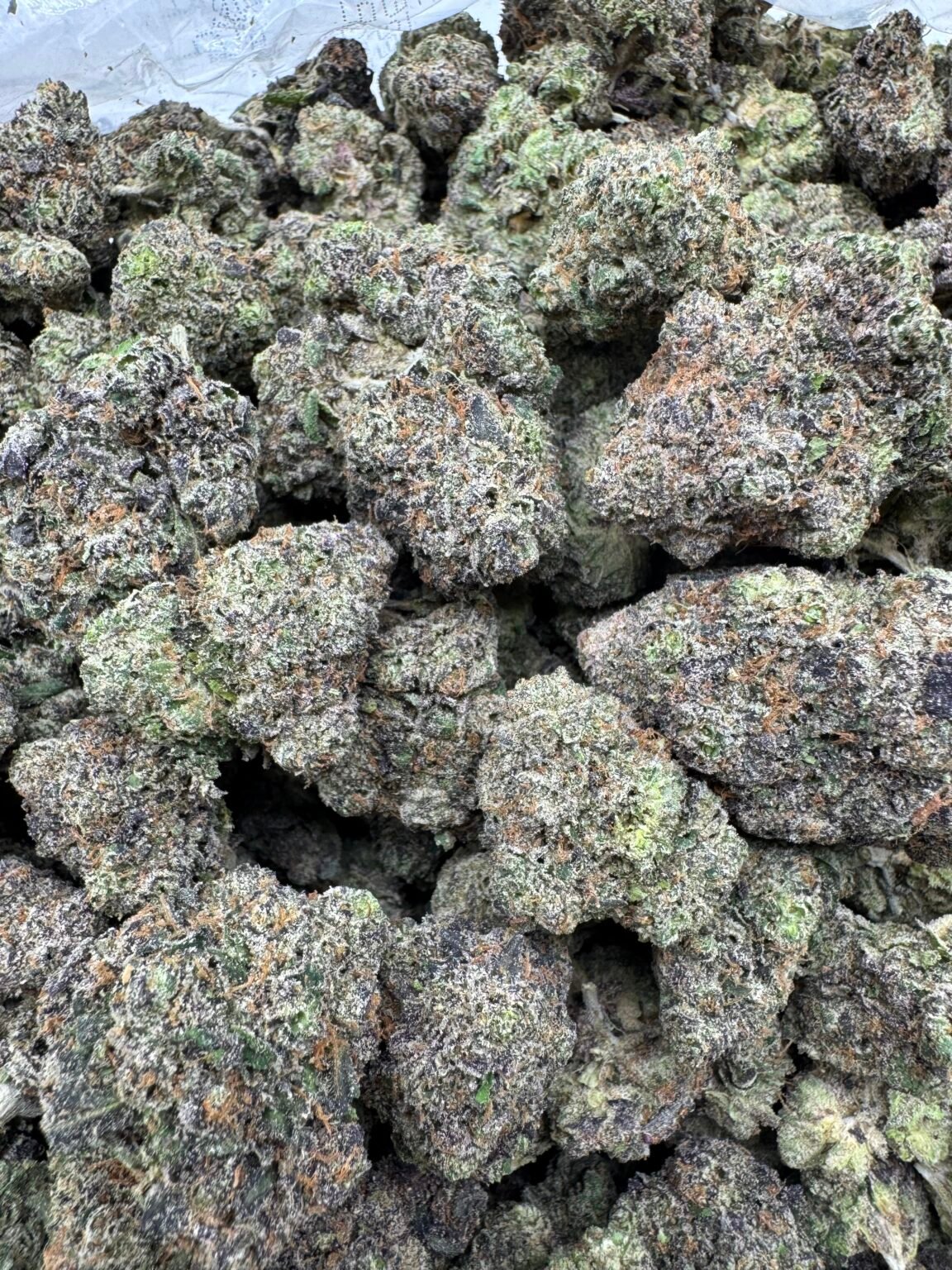 BLACK CHERRY GELATO(1894) $900