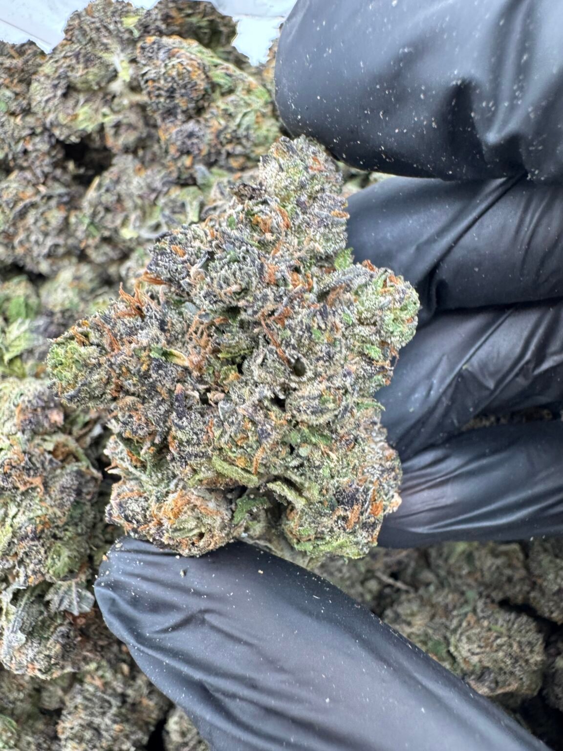MOCHI GELATO $850