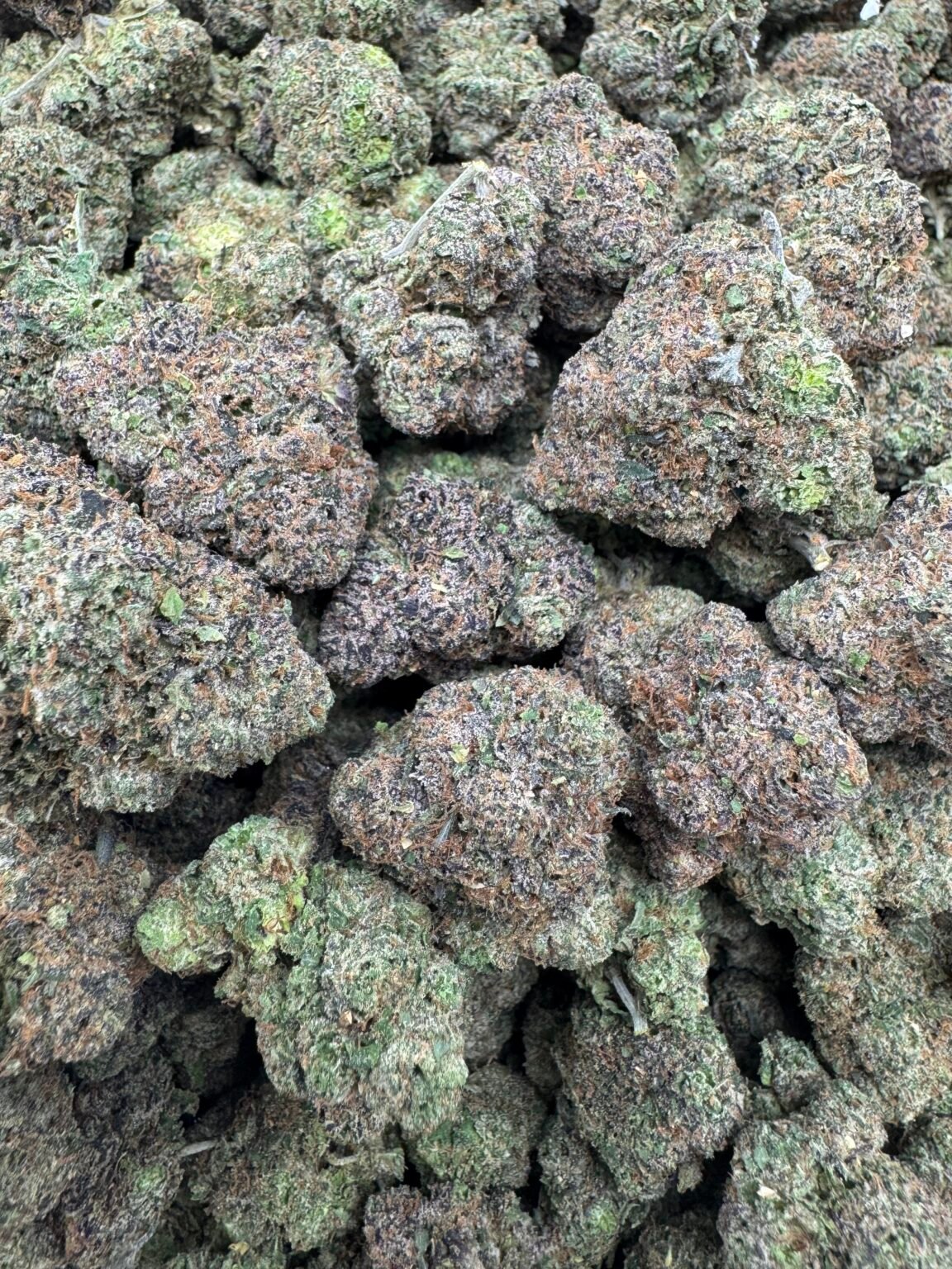 POISON LEMON $900