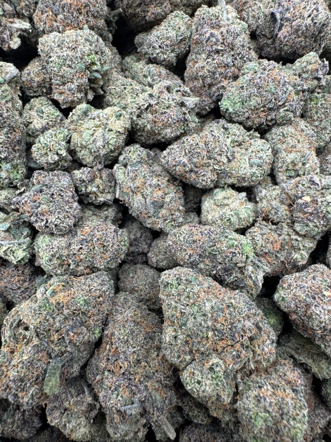 LIME GELATO(133) $875