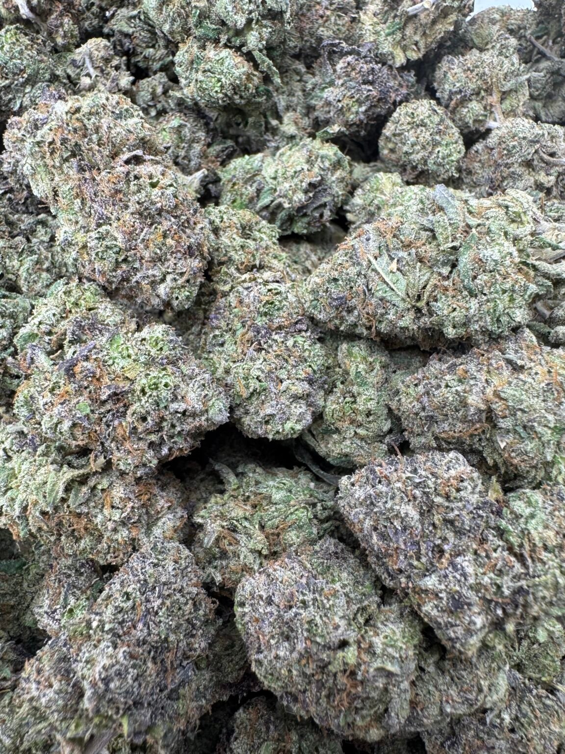GELATO CRUNCH(143) $825