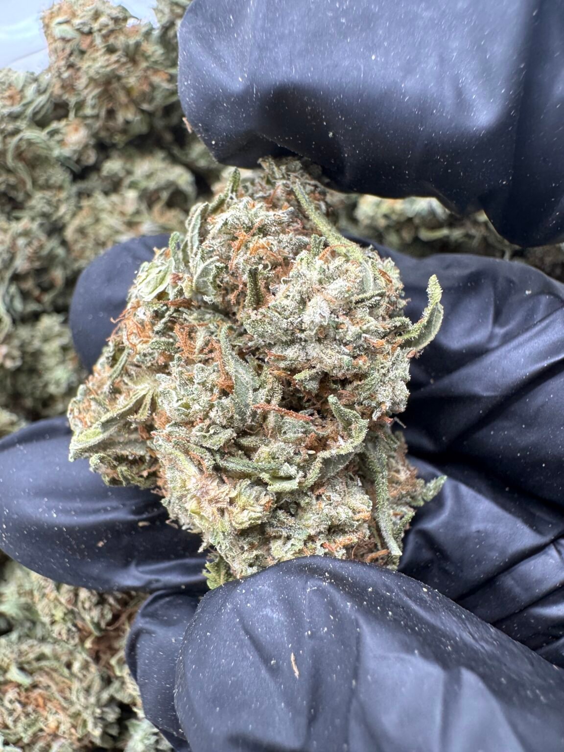 KUSH MINT(155) $350