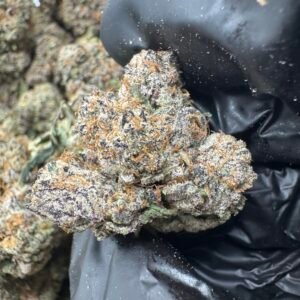 GIRL SCOUT COOKIEZ(262) $775